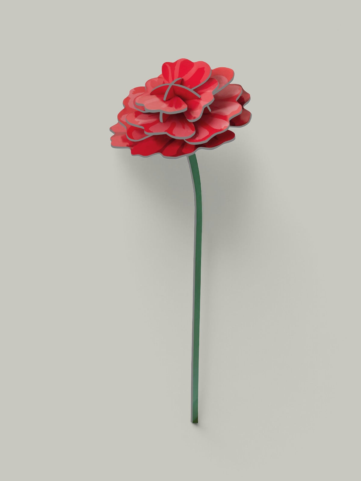 Grande fleur éternelle ･  Rose