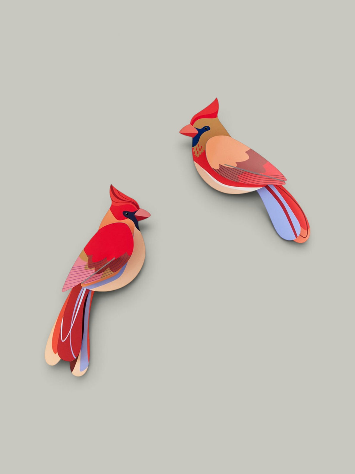 Art mural 3D ･ Cardinaux