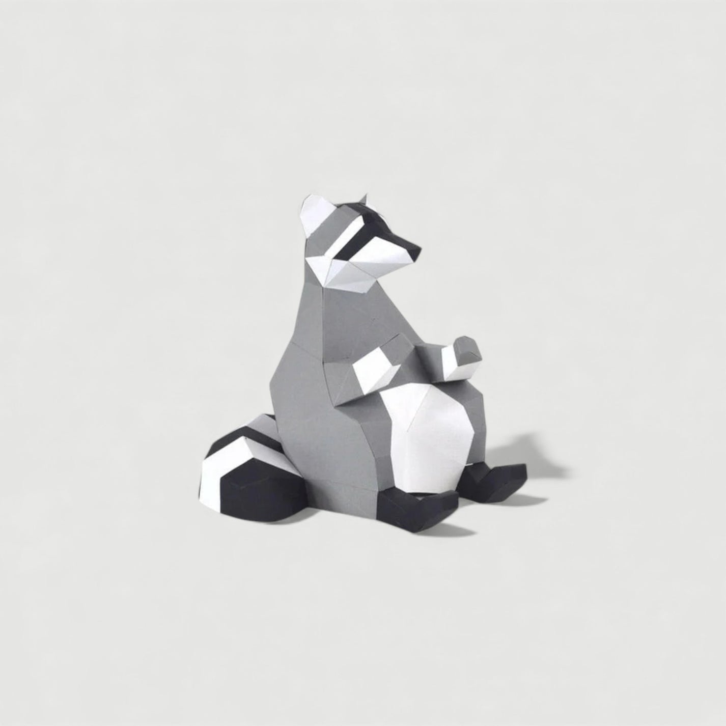 Origami géant | Raton-Laveur